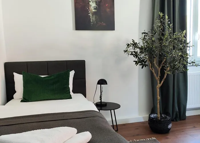 Elias Modern Lifestyle באיירוט